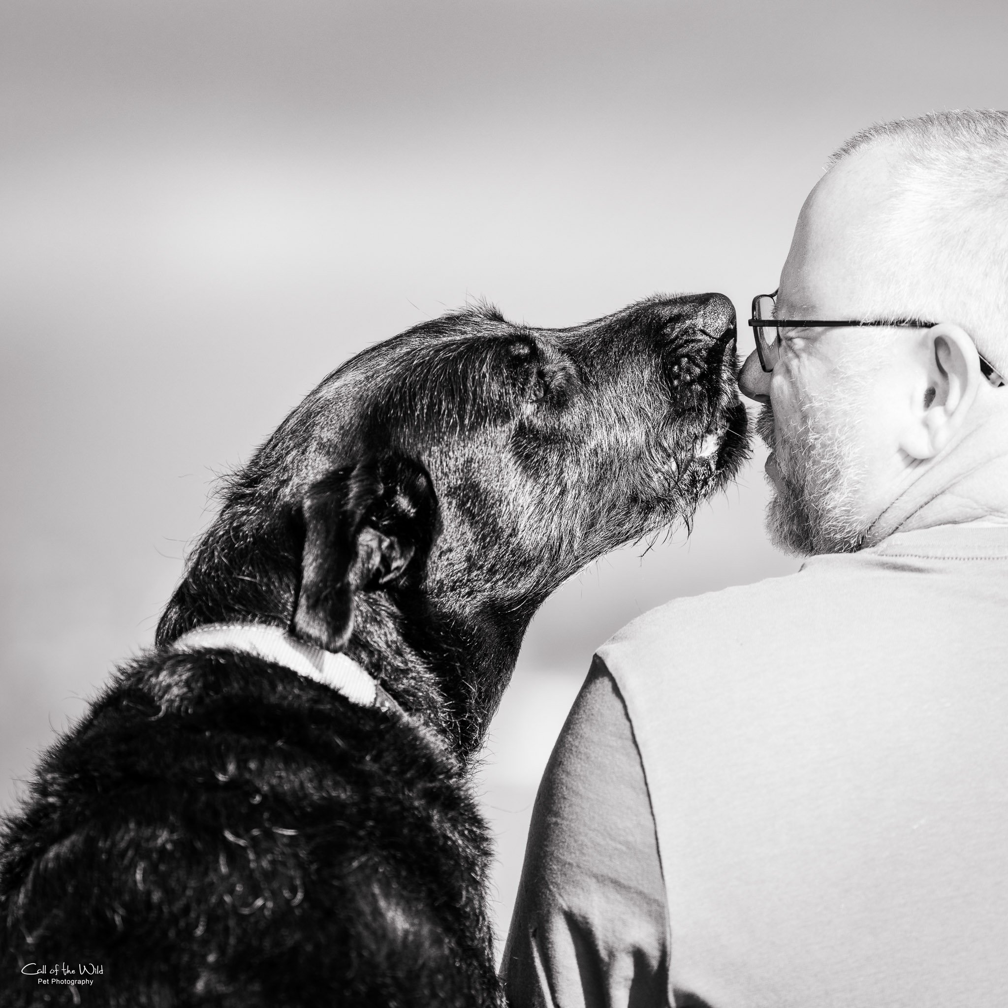 Roma and family - Small Black and White to share - Call of the Wild Pet Photography - 2023-2358.jpg