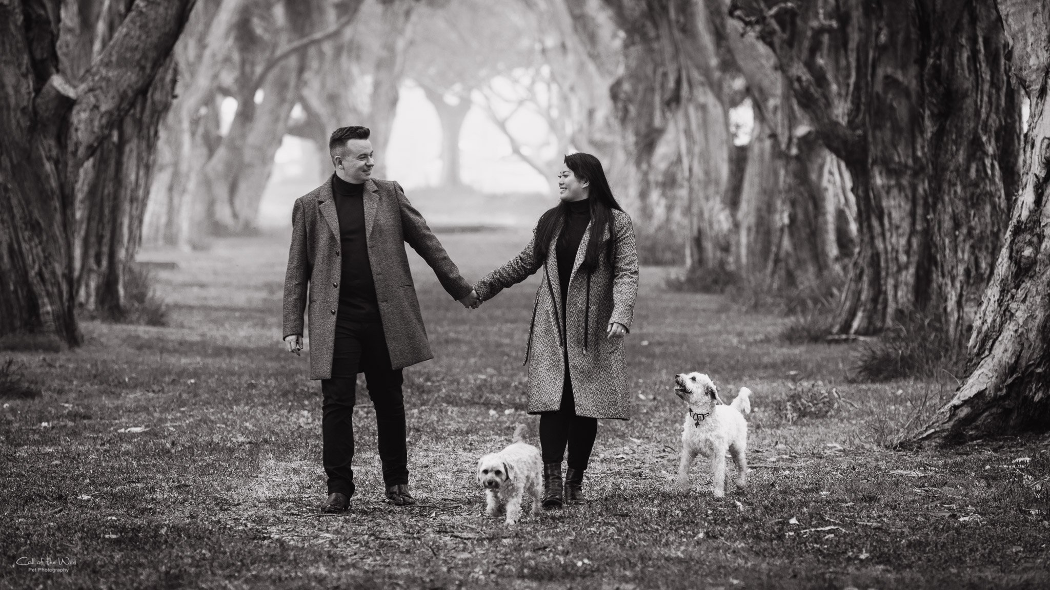 Mary, Peter, Nacho and Soda - small Black and White jpegs to share - Call of the Wild Pet Photography - 23 Aug 2023-1614.jpg