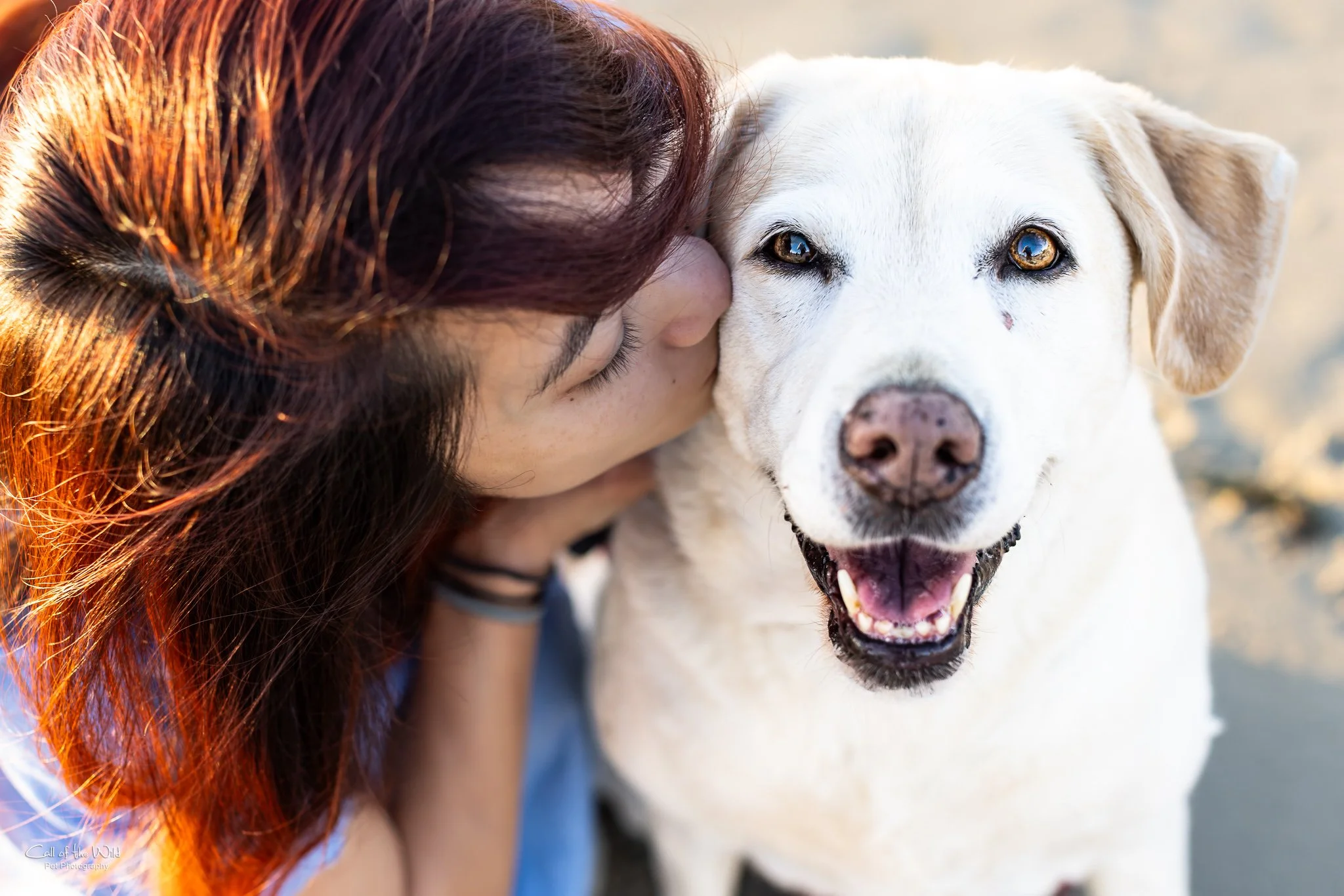 Rainbow Bridge Dog Photographer - Sydney