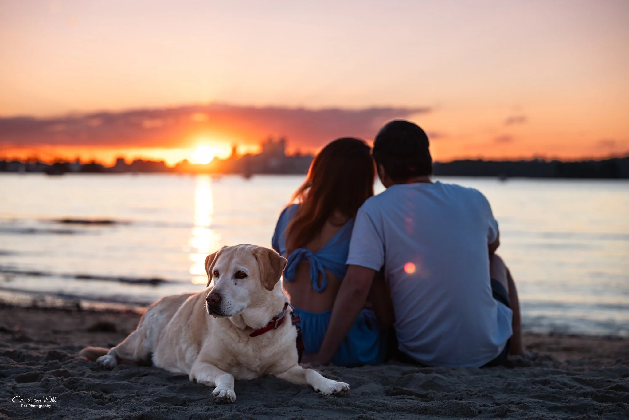 Small Portaits to Share - Colour - Sunny and familiy - Call of the Wild Pet Photography July 2025--32.jpg