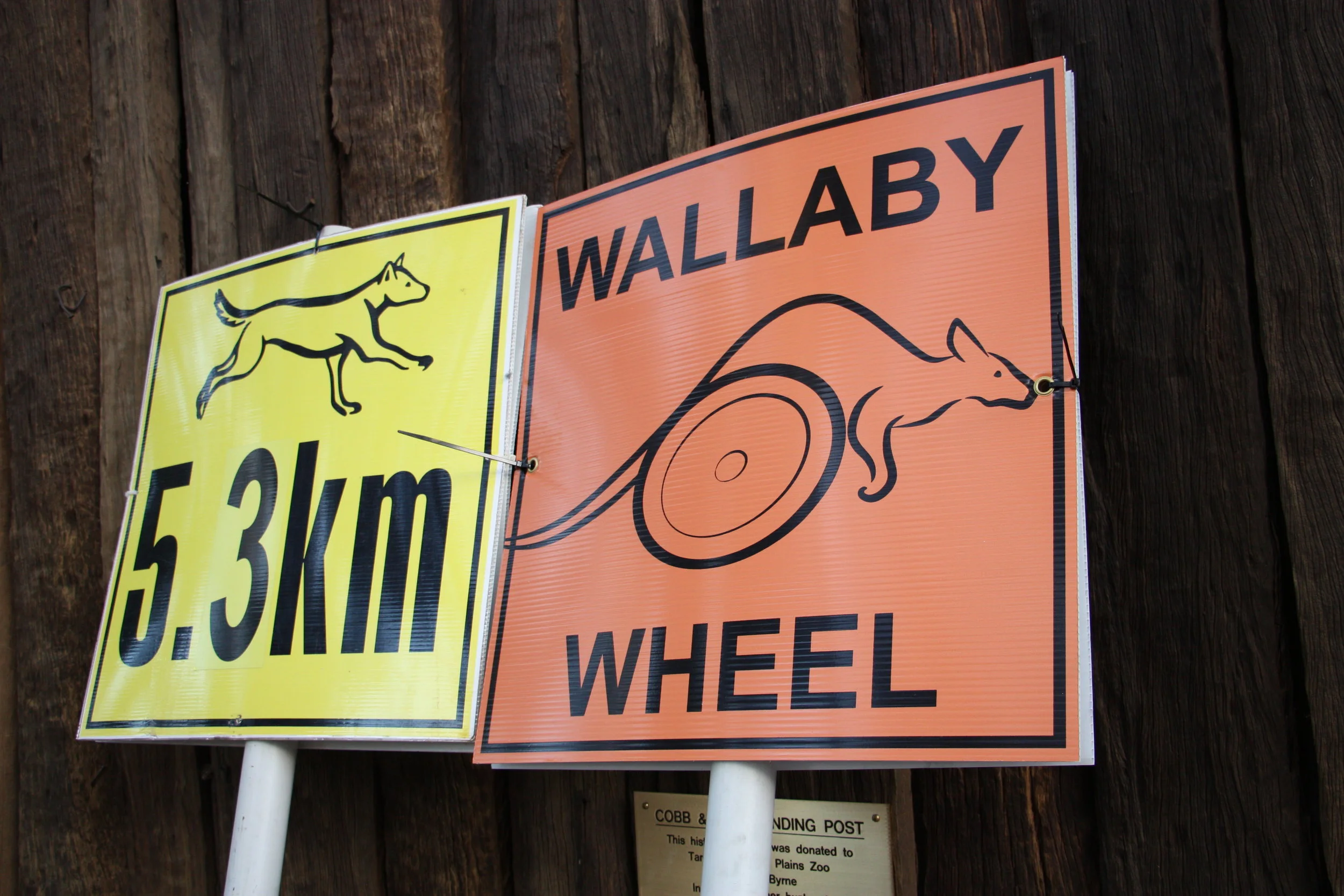 Registrations now open for the 2019 Dubbo Stampede!