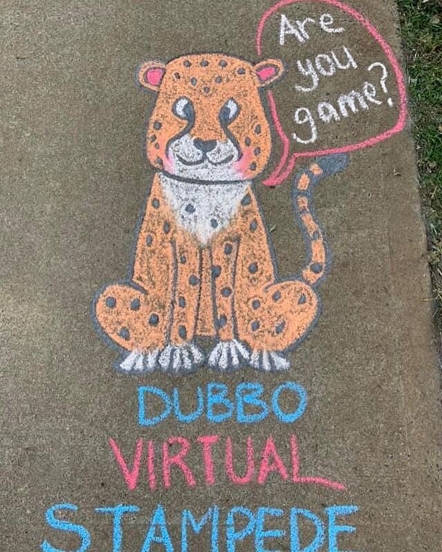 Who spotted the new chalk drawing on the Riverloop today?
Where did you find it ? &ldquo;Socially Distant. Virtually Together&rdquo;
#dubbostampede
#dubbovirtualstampede
#sociallydistantvirtuallytogether 
#virtualrunneraus 
#virtualrun 
#dubbo
#taron