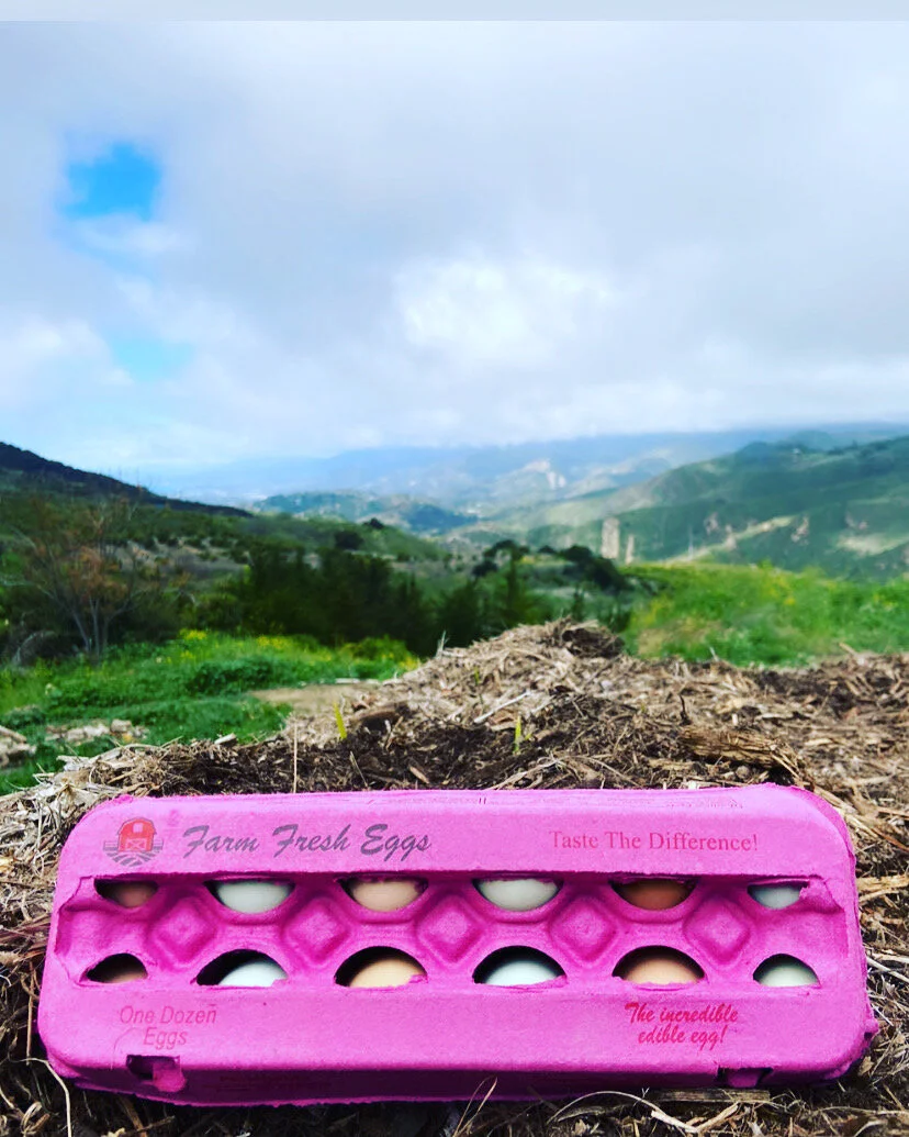 39F0ACD9-2929-4E64-9781-FCA040D68052