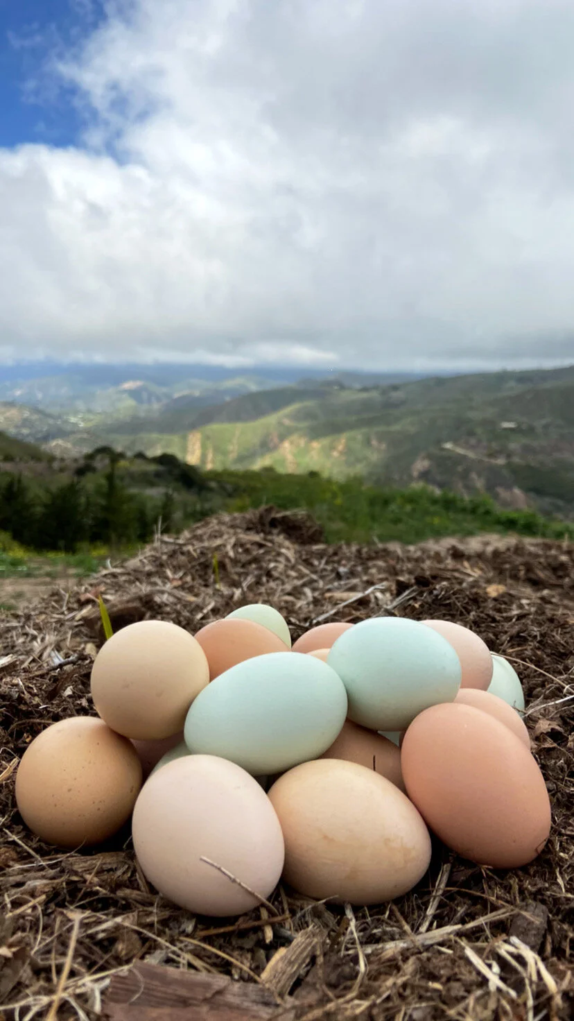 850CAB60-33F8-478D-BAA1-001BEE9AD44E