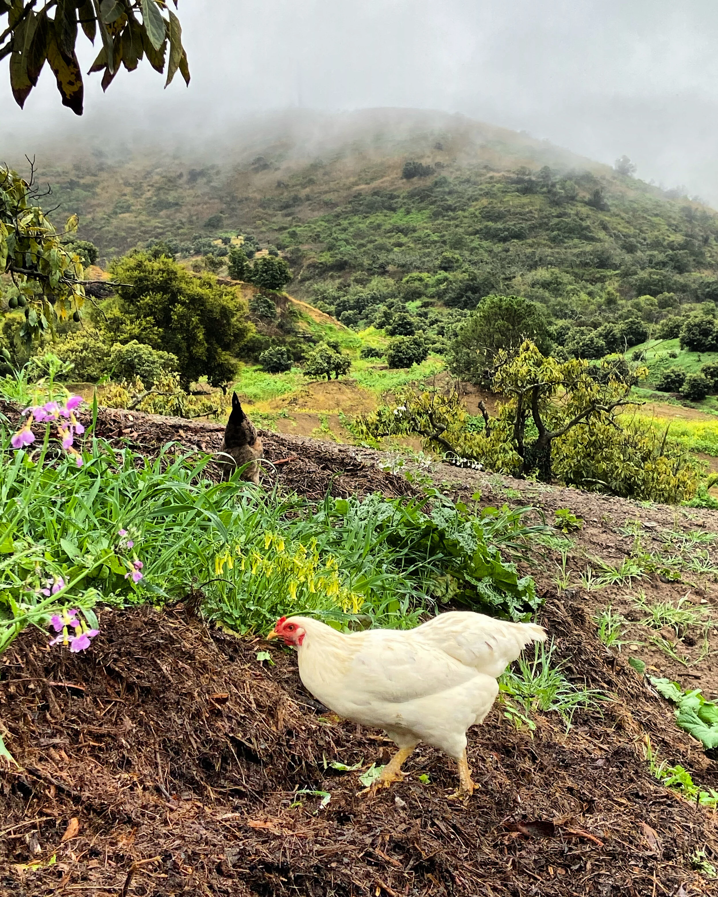 66C92F08-74C2-4583-B1CC-1644D3FC32A6