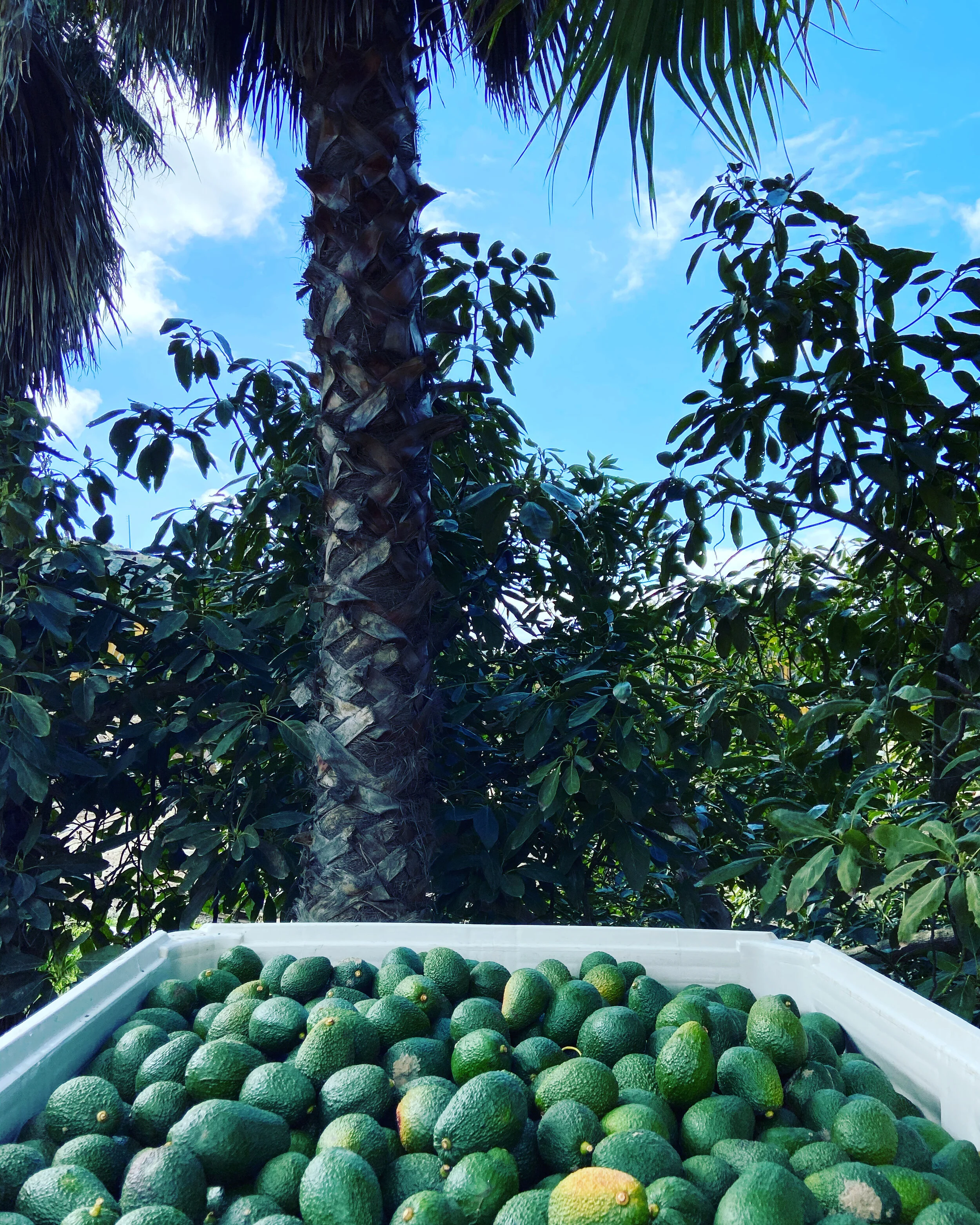 9B55DAE4-5A26-4B2D-B0D2-83B054CD5798