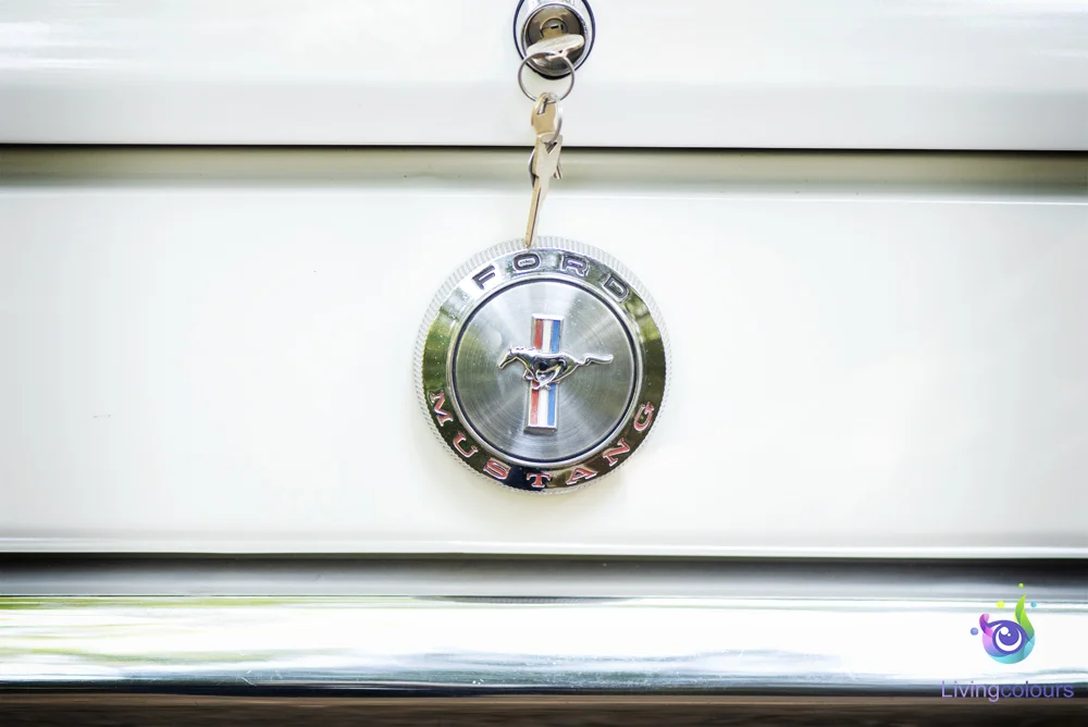 lcfoto100818_00161l.jpg