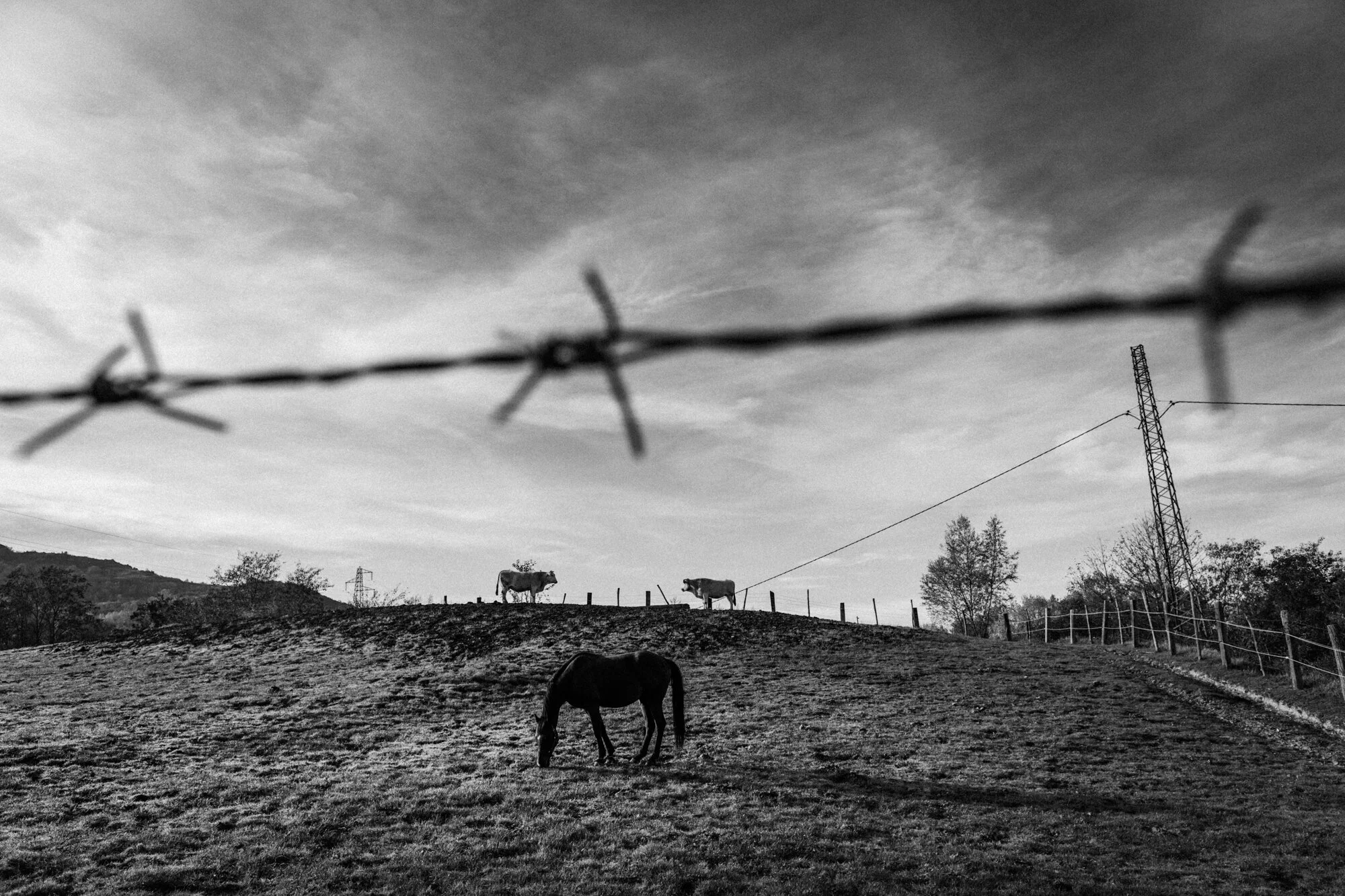 Sant’Angelo del Pesco (IS), November 2015. A view from the last farm inside the small town.
