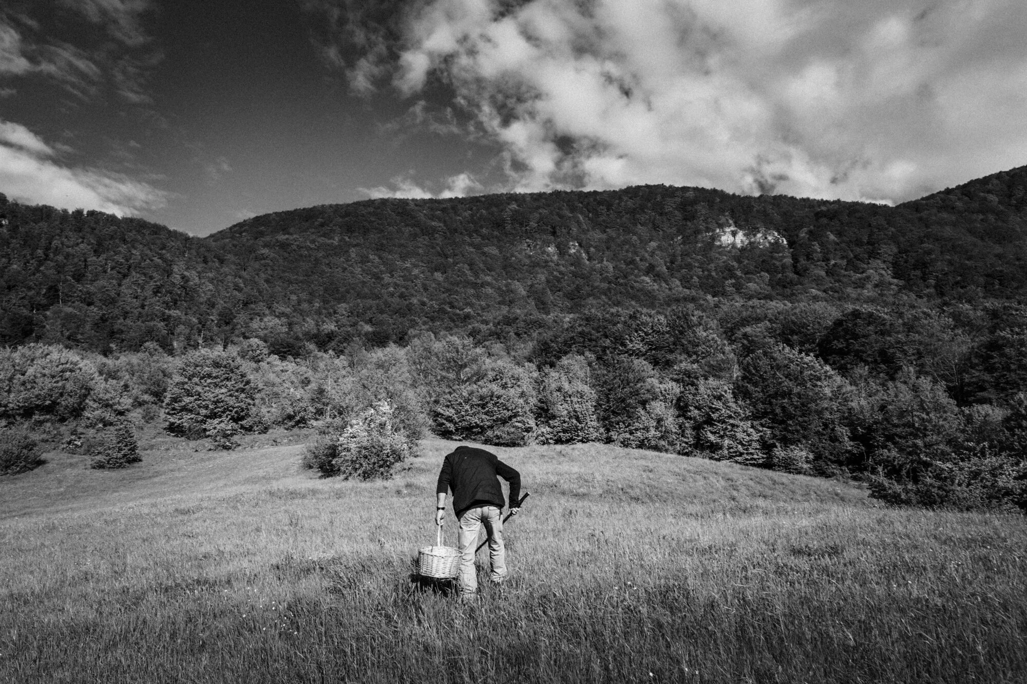 Capracotta (IS), May 2016. A local mushrooms hunter during his daily research.