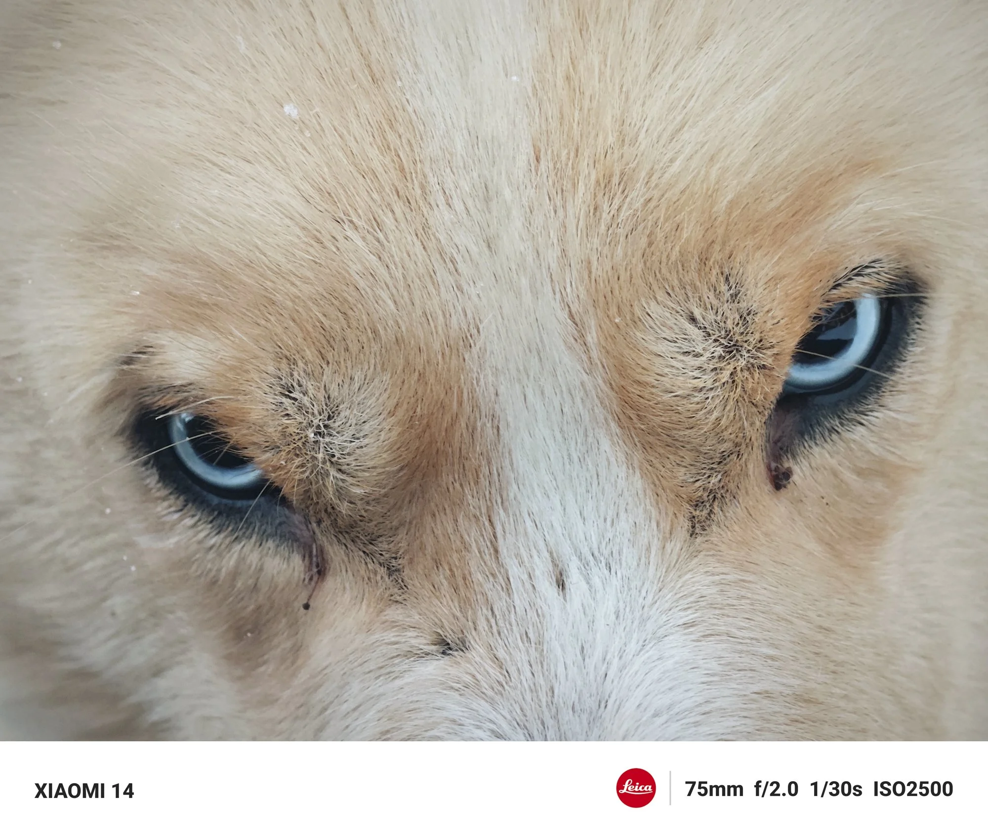 Portfolio mobile - Nucci-1.jpg