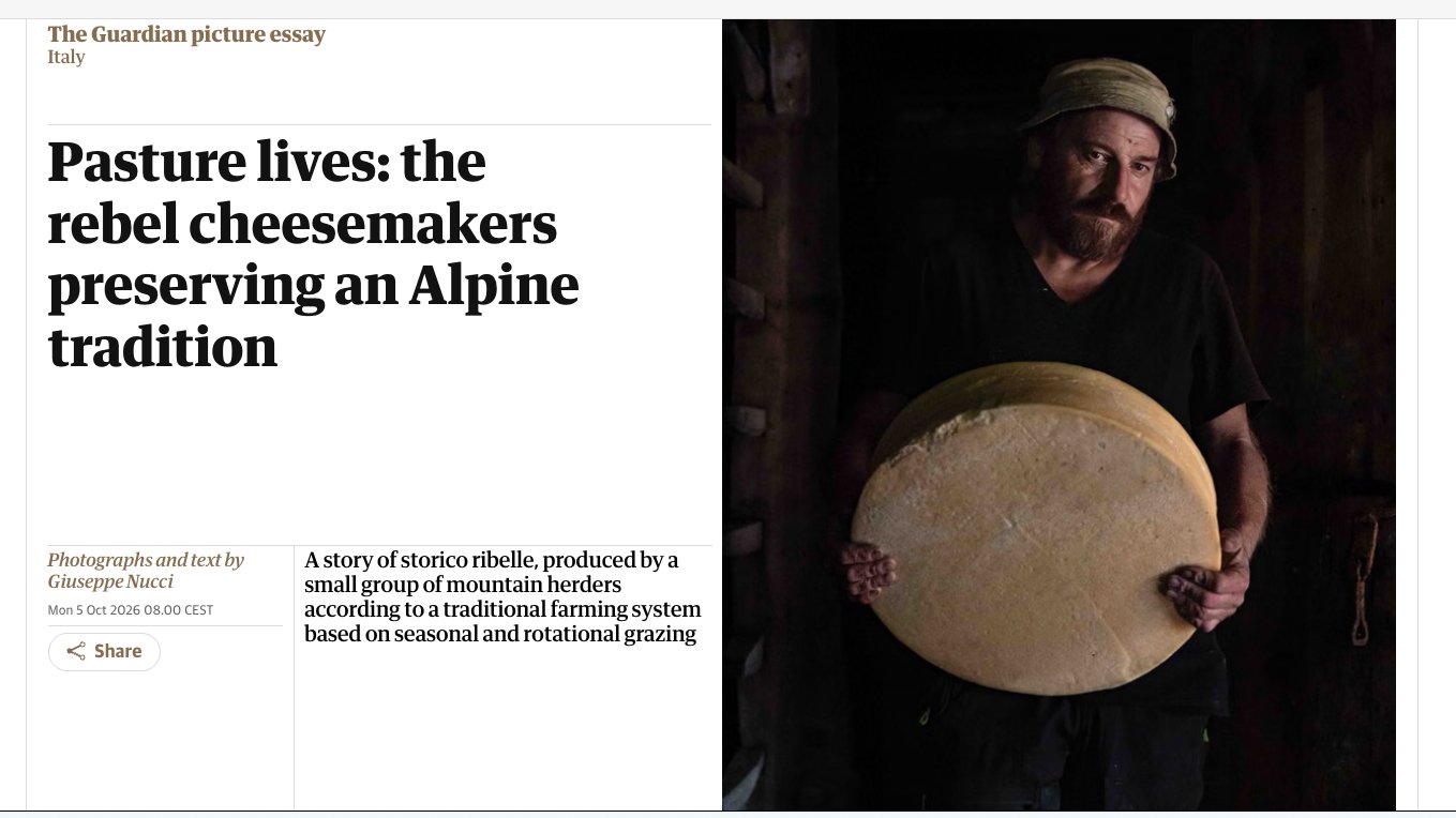 The Guardian 1-1.jpg