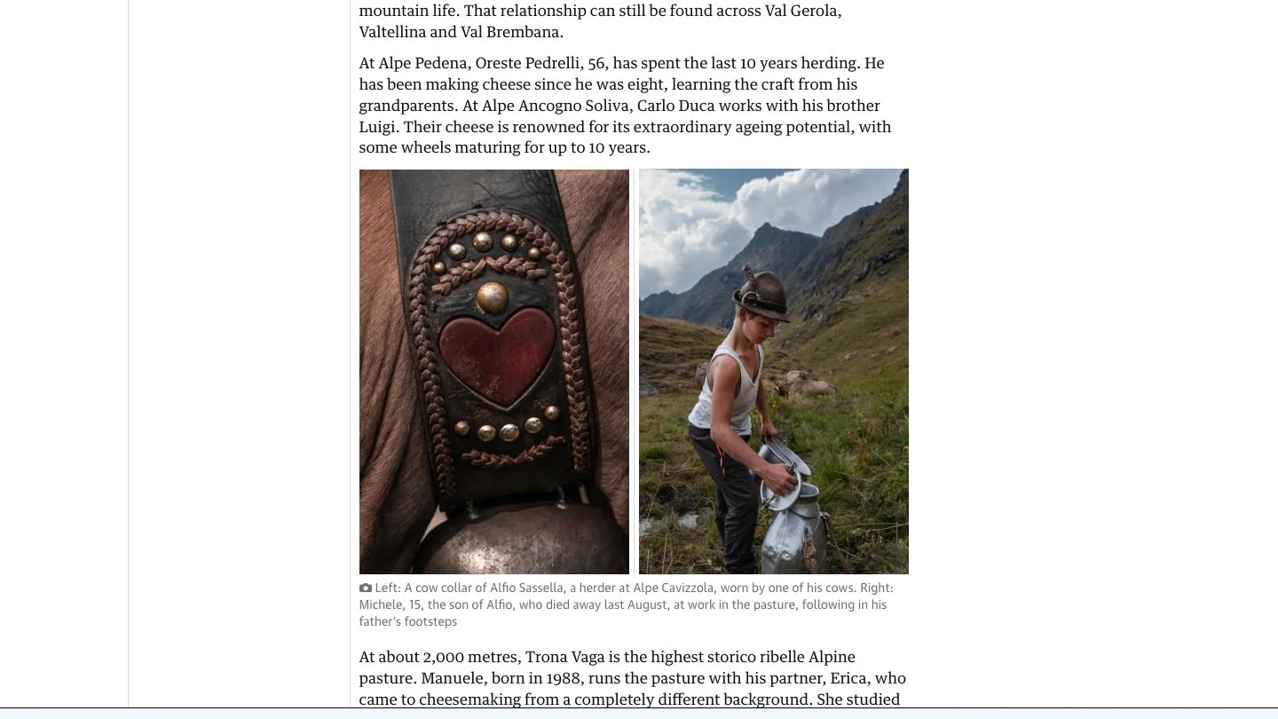 The Guardian 1-3.jpg