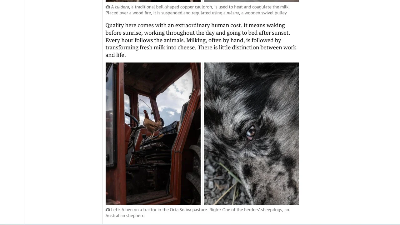The Guardian 1-4.jpg