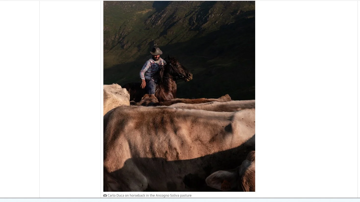 The Guardian 1-5.jpg