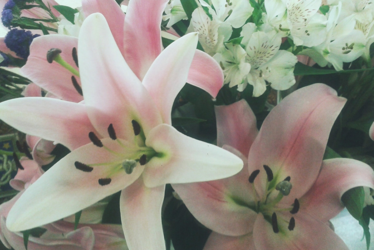 20160513_110303.jpg
