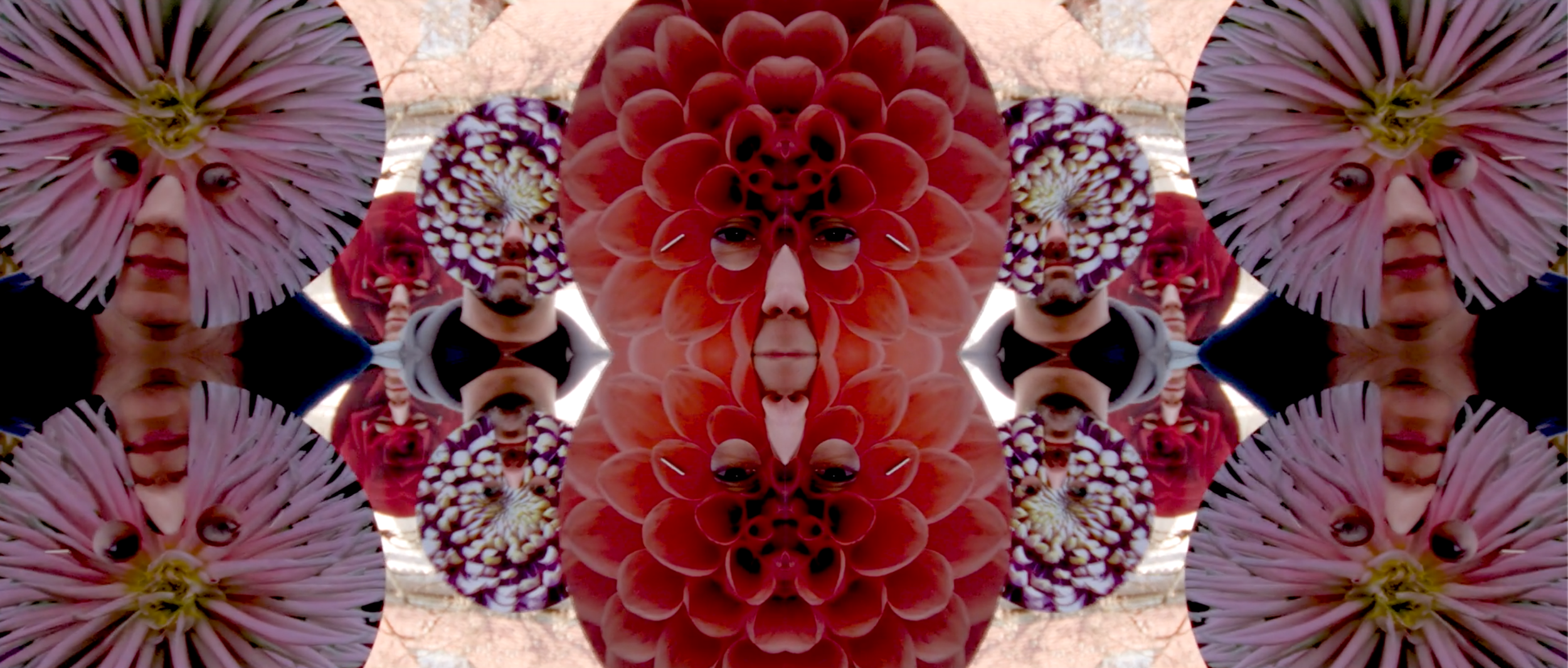 Screenshot 2025-10-01 at 10.06.30.png