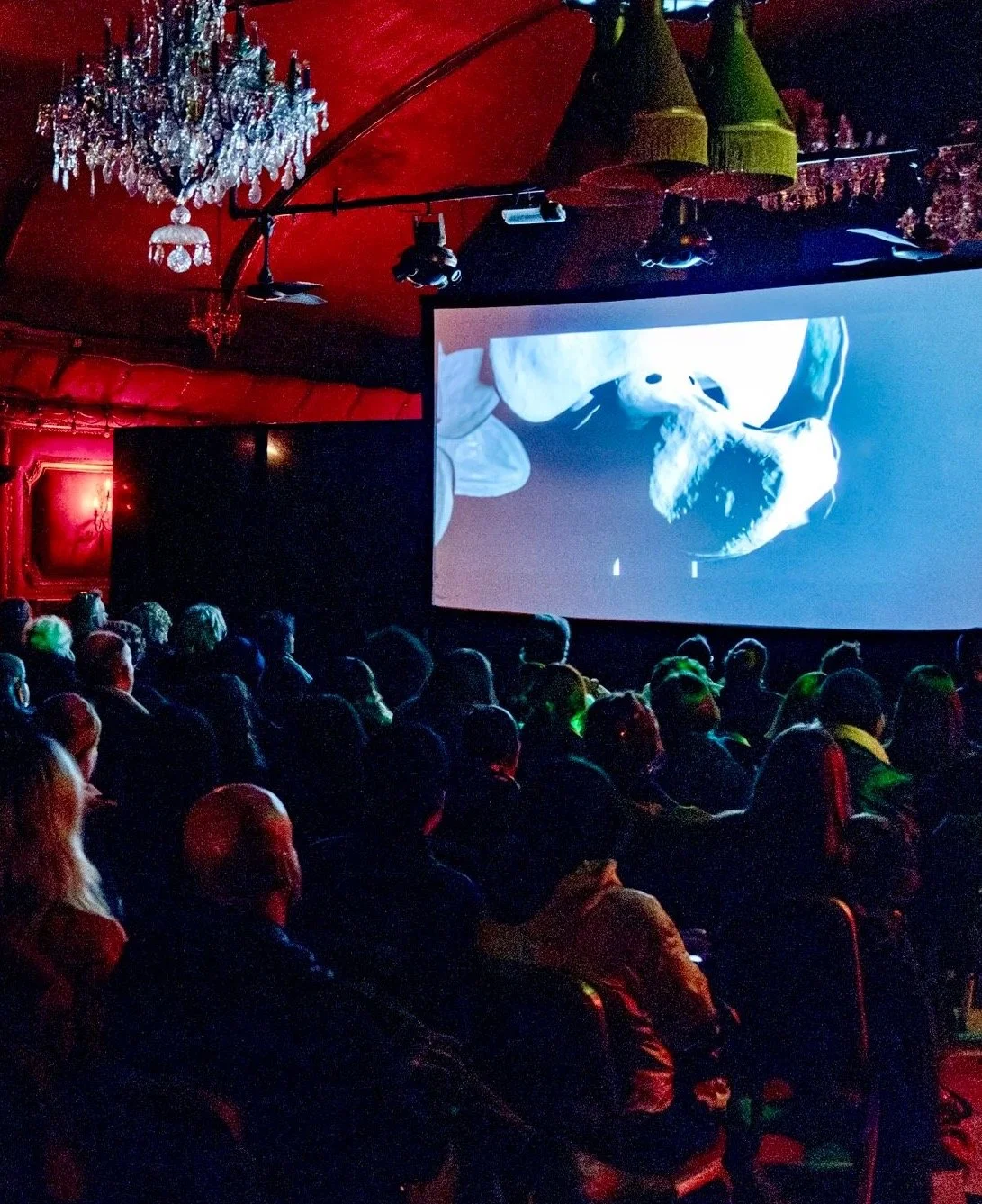 3a8eef48-c1e7-460c-aa34-71c97b83e483 copy.jpeg