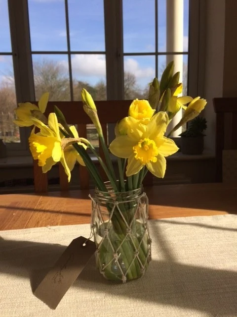 Spring Daffodils.jpg