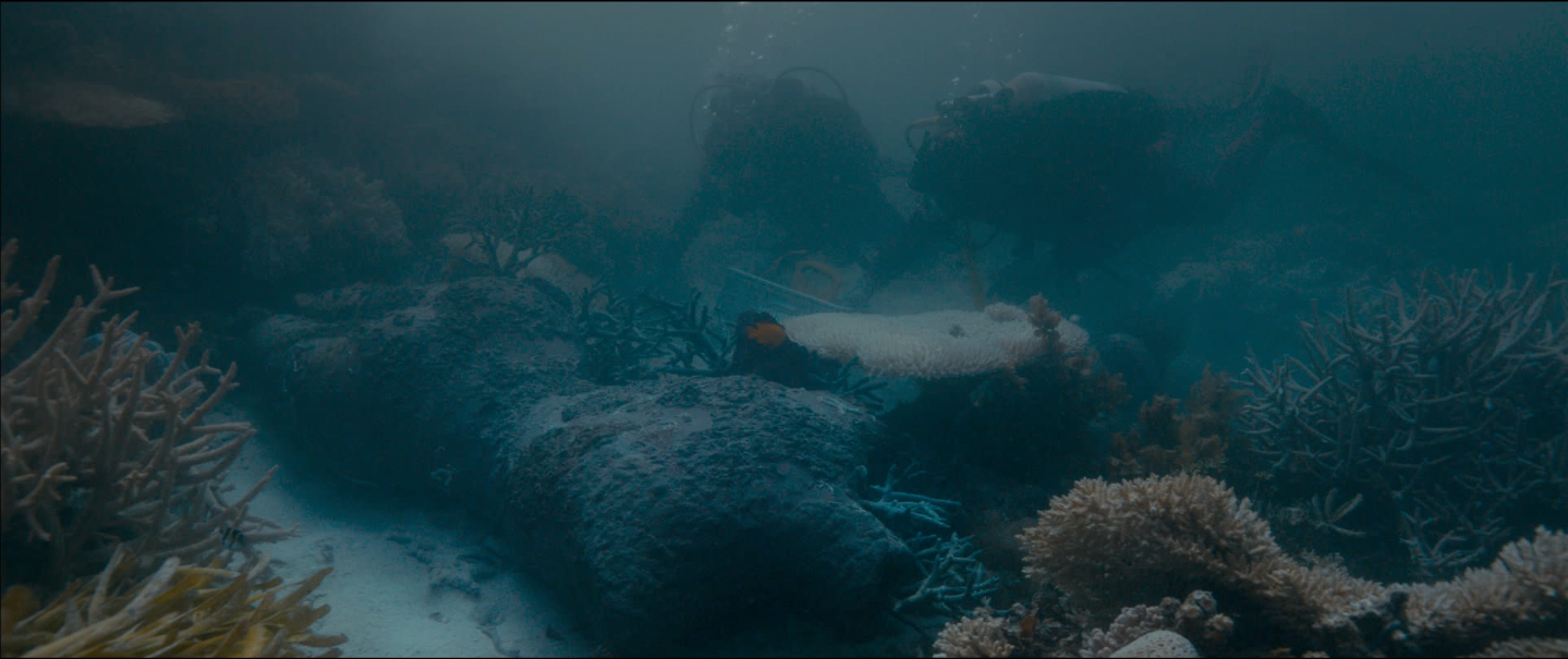 TREASURES FROM THE WRECK OF THE UNBELIEVABLE