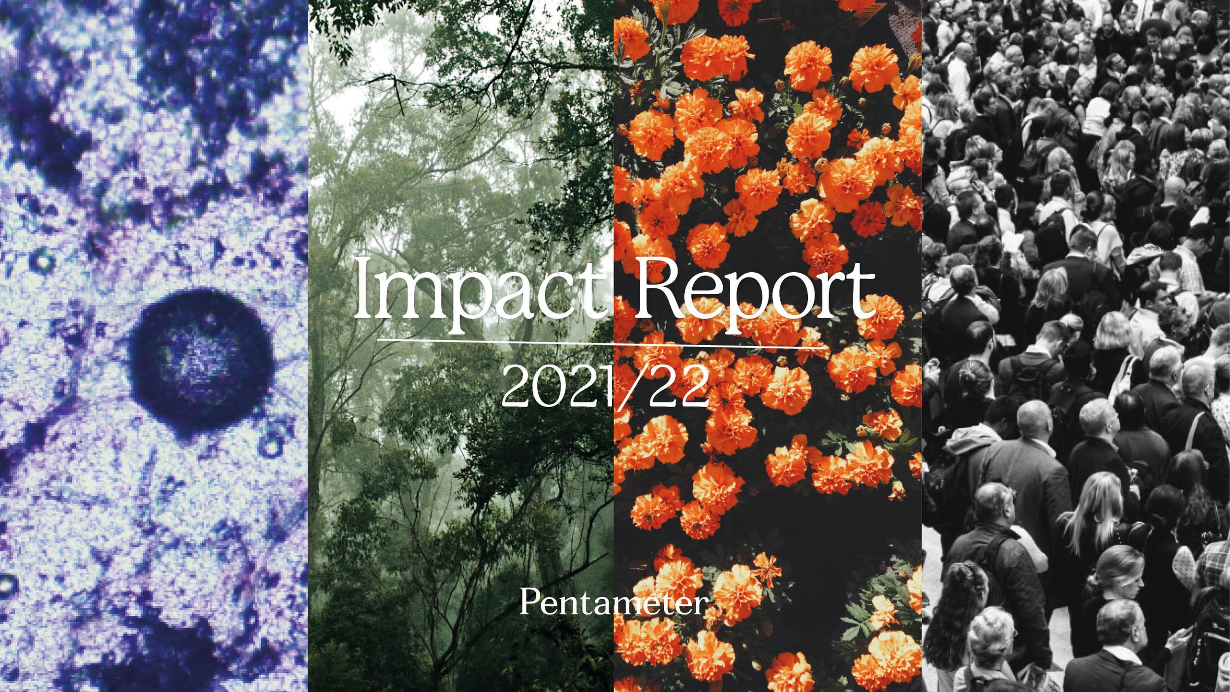 Pentameter Impact Report_Cover.jpg