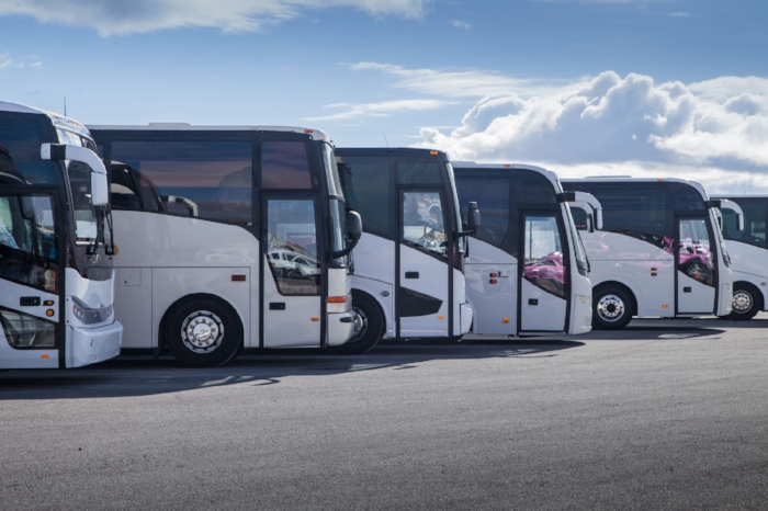 BUSSES.jpg