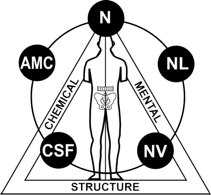 AppliedKinesiologyIcon.png