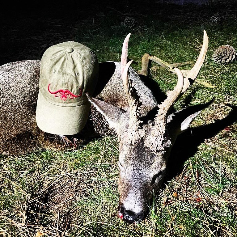 Dieses Bild eines starken spanischen Rehbockes hat uns eben erreicht. Gratulation an unseren treuen Kunden. Sch&ouml;n zu sehen das unsere Buffalo Cap immer dabei ist. 👍
🇪🇸 Viva Espa&ntilde;a 🇪🇸

This image of a strong Spanish roebuck has just r