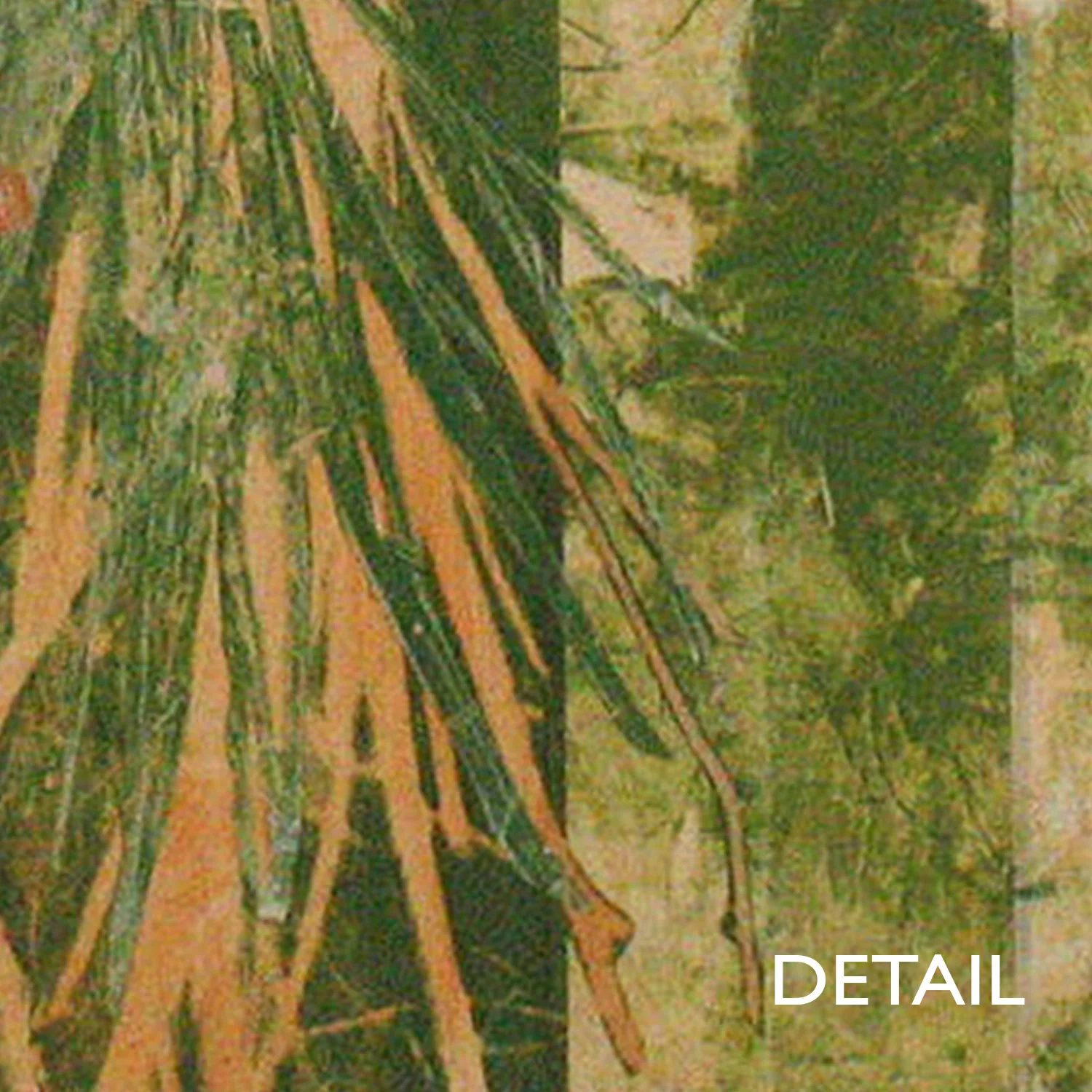 sqsp-shallow-soil-detail-gr.jpg