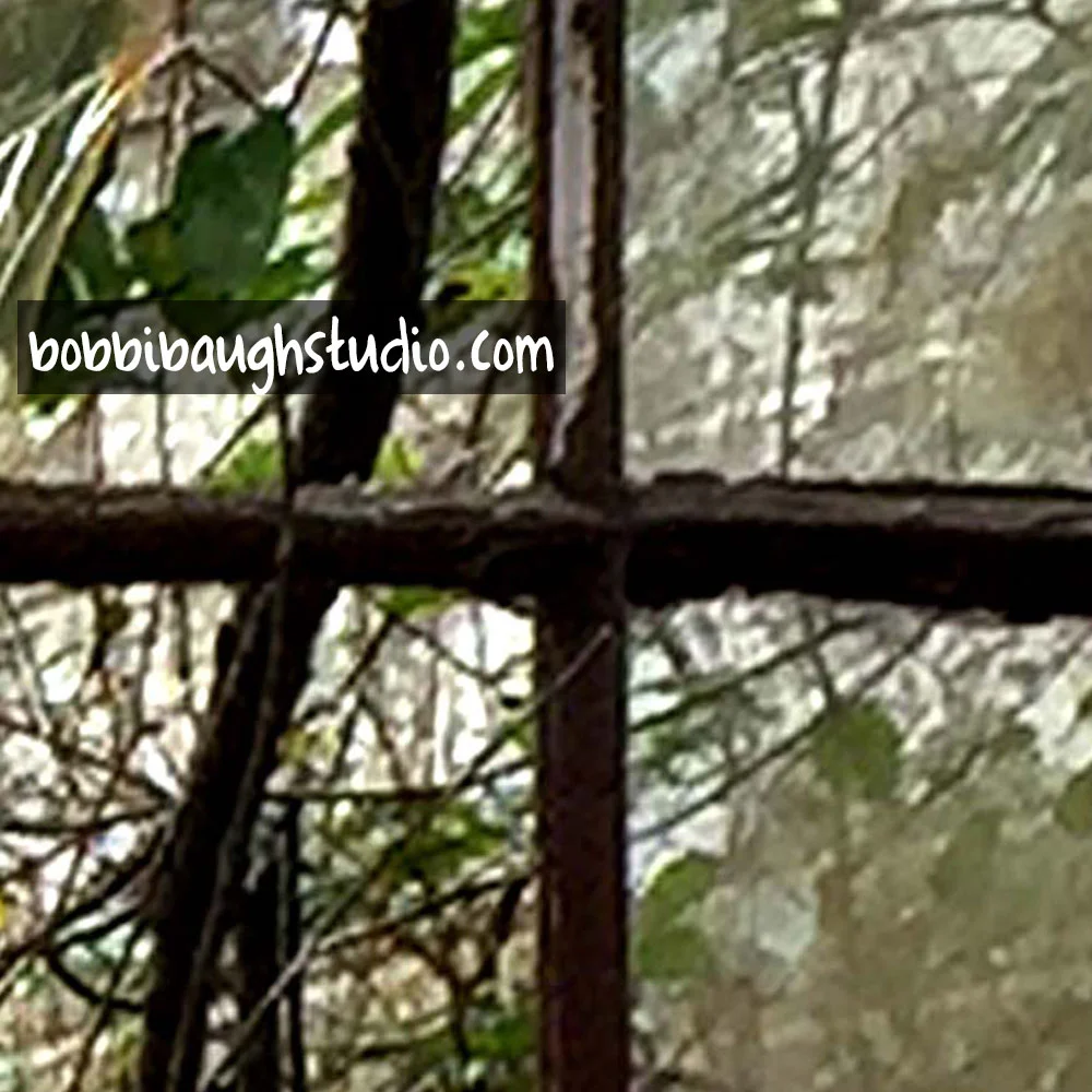 bobbi-baugh-studio-transfer-photo.jpg