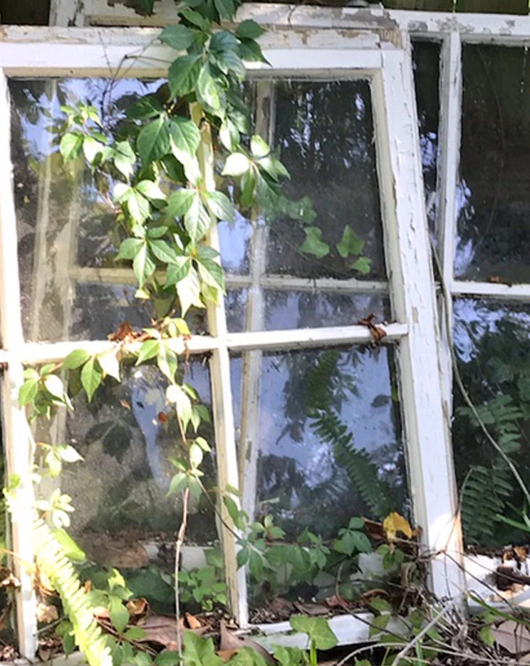bobbibaughstudio-discarded-windows-inspiration-photo.jpg