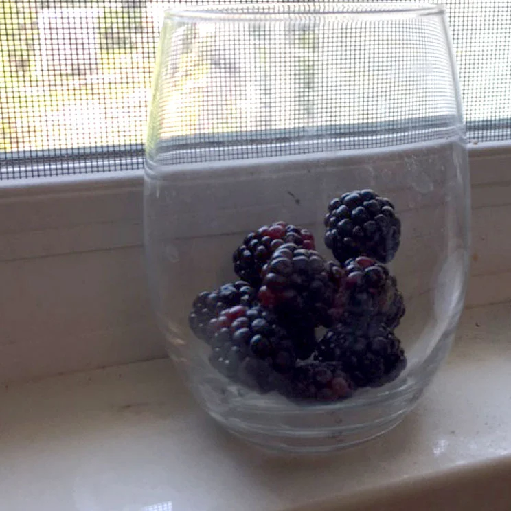 bobbibaughstudio-blackberries-on-window-sill.jpg