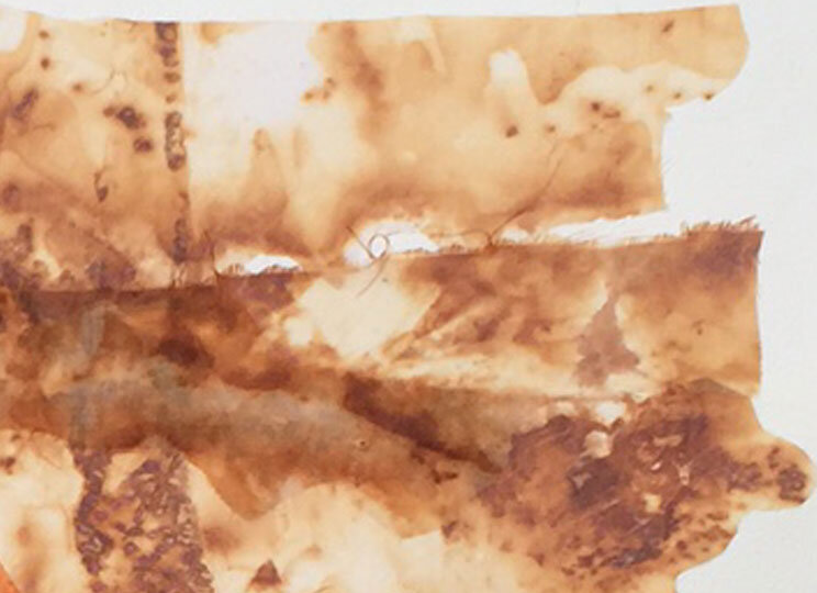 bobbibaughstudio-detail-rust-on-sheer-fabric.jpg