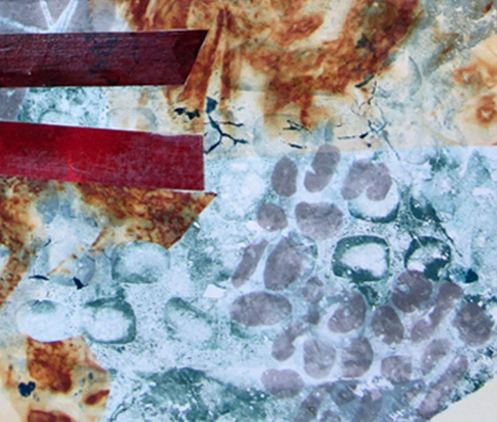 bobbibaughstudio-collage-in-progress-layers.jpg