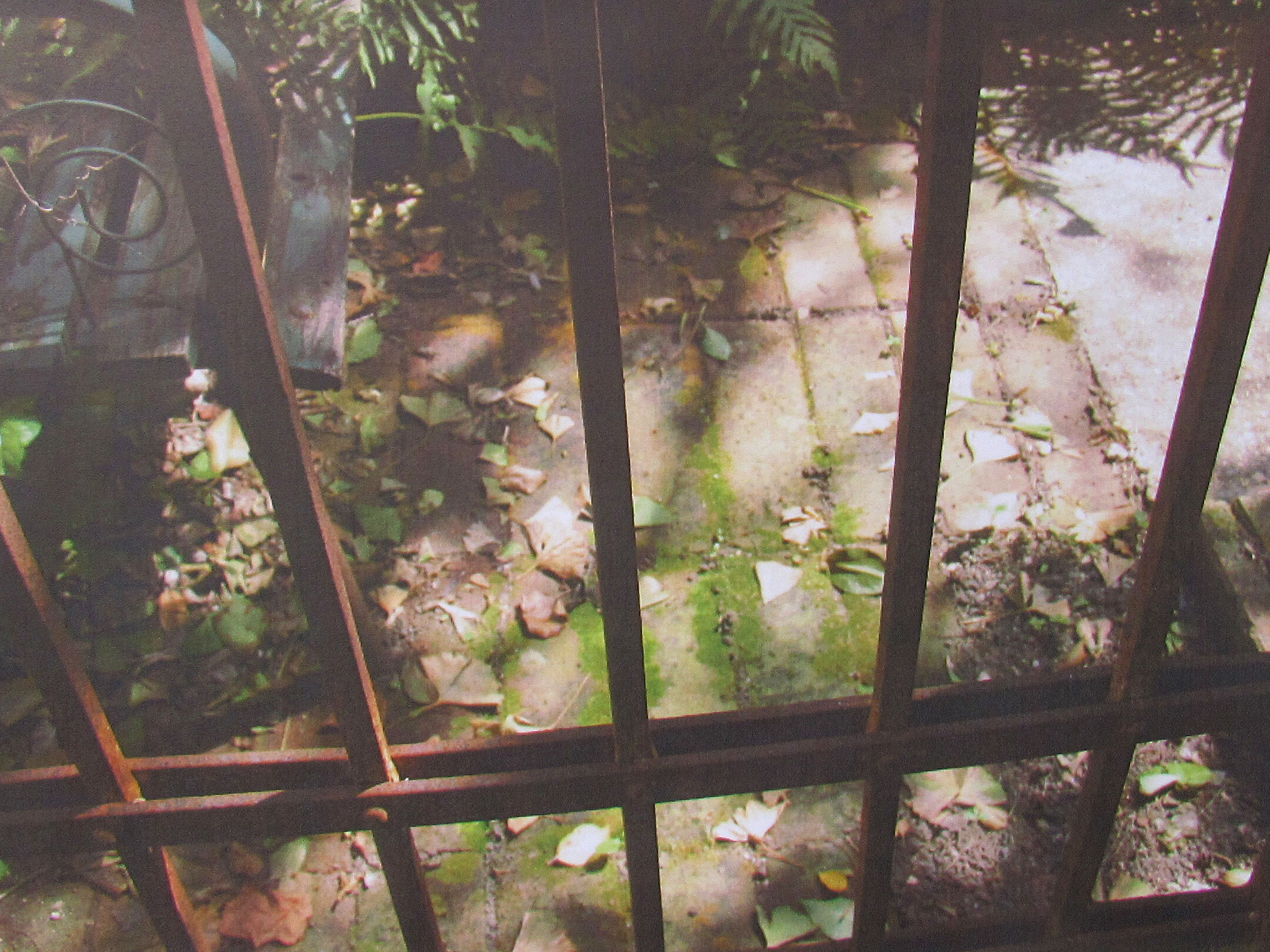 bobbibaughstudio-through-the-gate-natchez-garden.jpg
