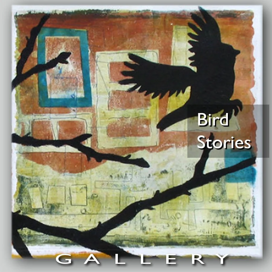 2024-Bird-Stories-header-.jpg