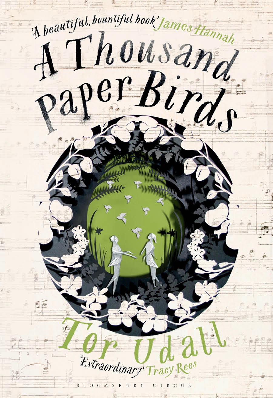 A_Thousand_Paper_Birds_Jacket.jpeg