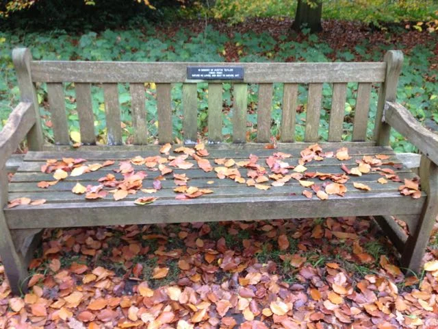 Bench 2.jpg