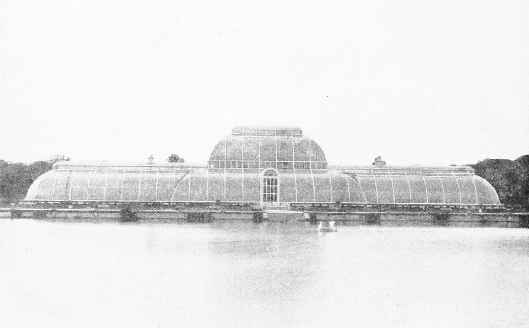 Palm House 1.jpg