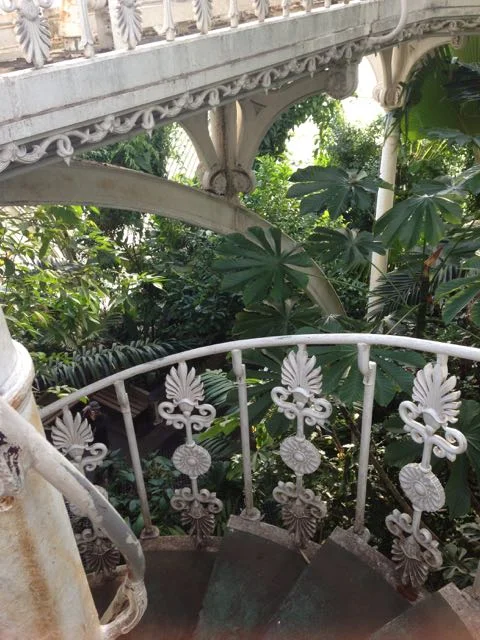 Palm House Interior 5.jpg