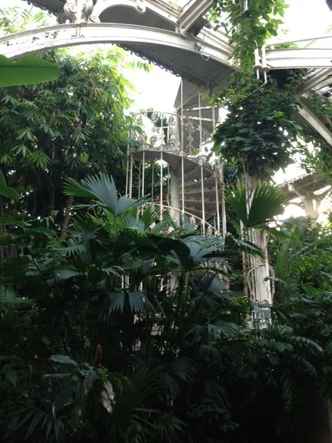 Palm House Interior 6.jpg