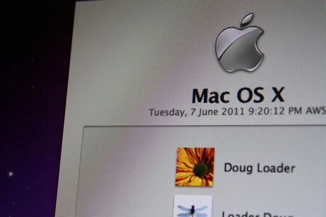 Personalise 10.6 login window