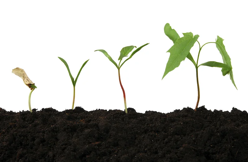 Your ICT roadmap for 2014