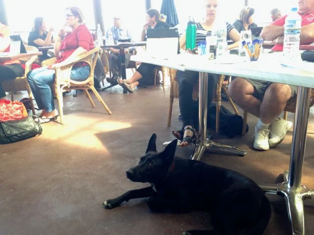 A Day to Remember overview