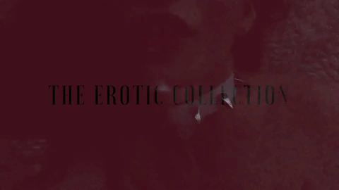 A new edition to The Erotic Collection. Its also called Drone Slut but its different than the video I posted above. 