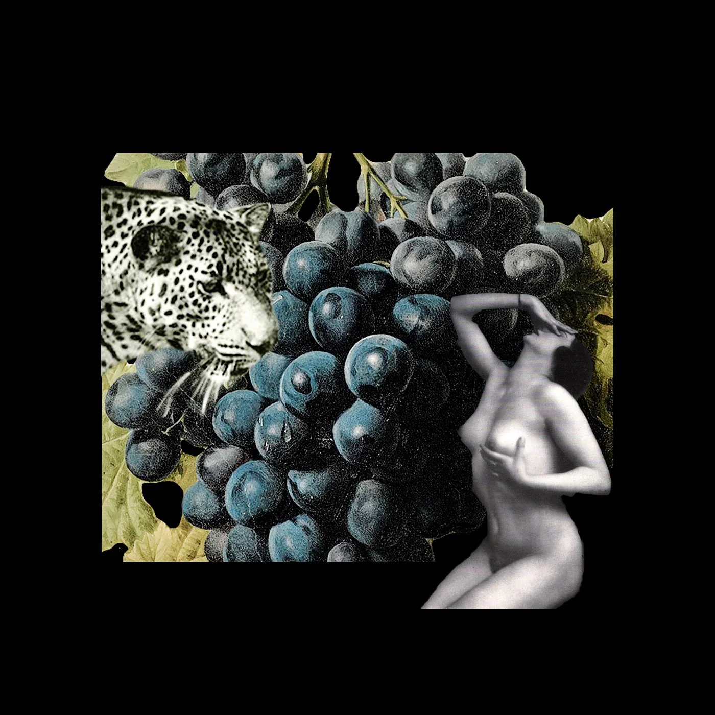 Dionysian Mysteries by Temple ov Saturn, available now on Bandcamp .