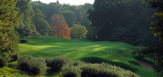 Royal Wimbledon tee times