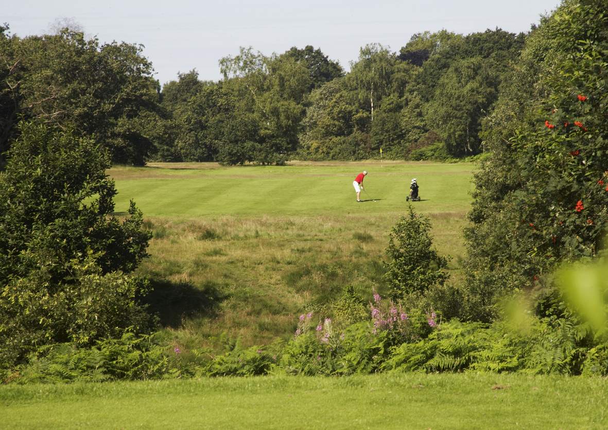LSGC+-+Wimbledon+Common+Golf+-+2nd+Hole.jpg