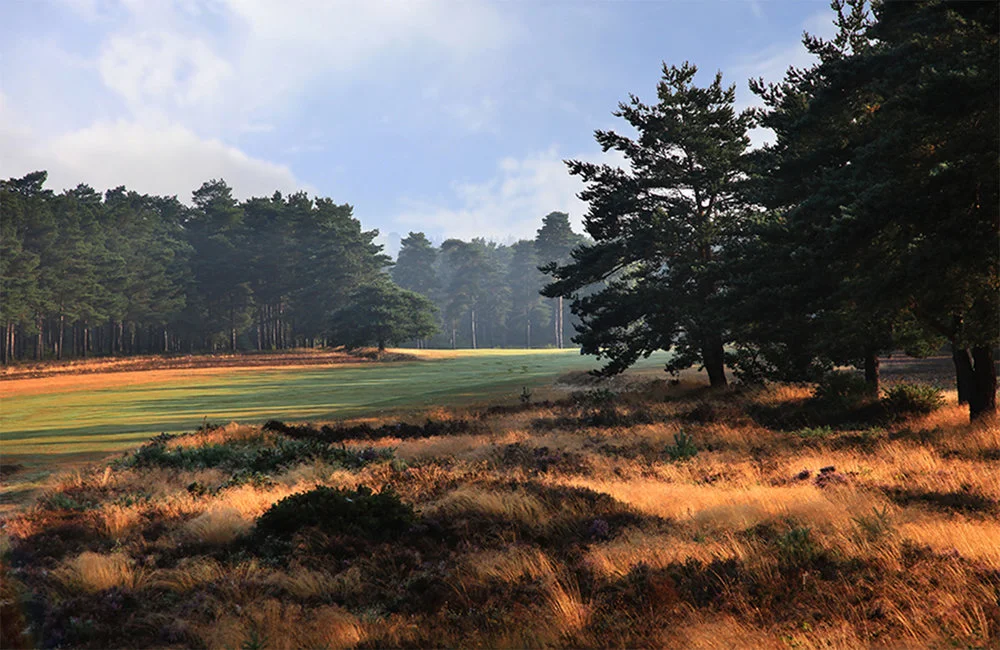 Surrey County Event at Walton Heath