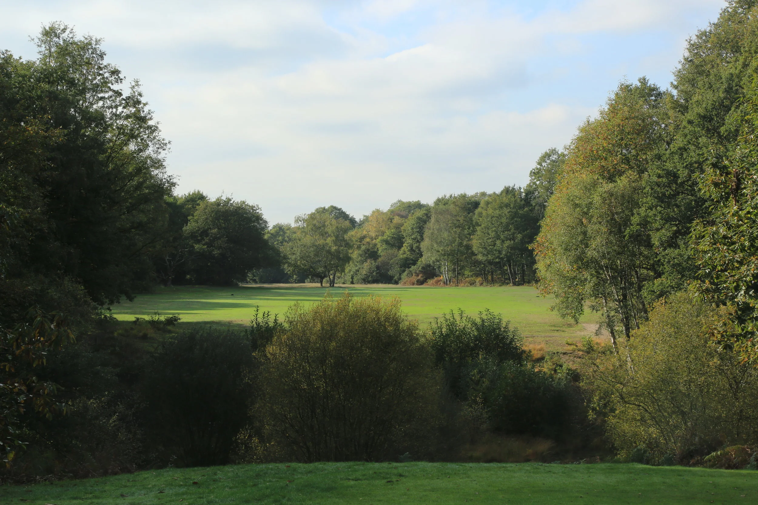 Upcoming competitions