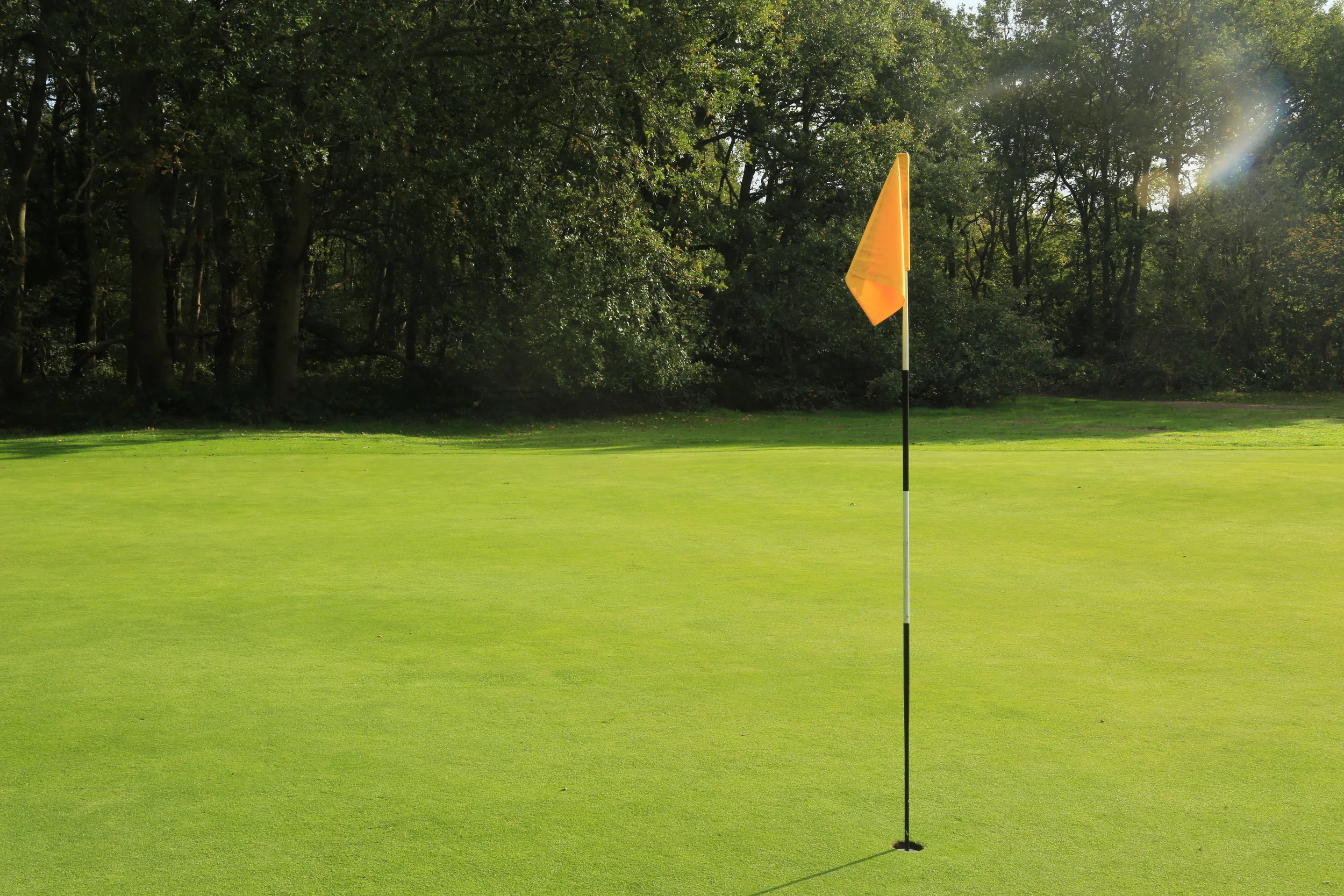 Pro-Am Report